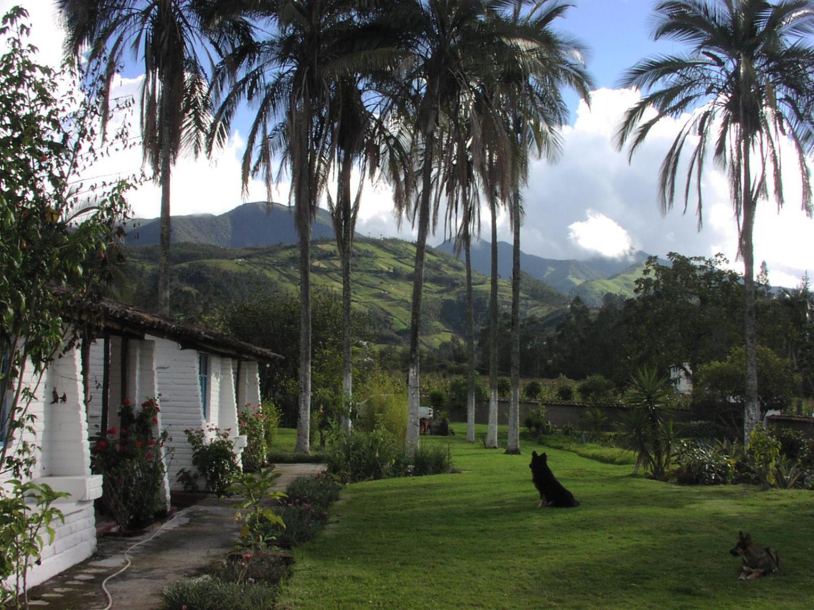 Las Palmeras Inn Otavalo Exteriér fotografie